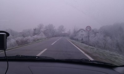 IMG_20111119_144848.jpg