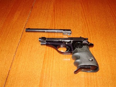 Beretta 22lr.JPG