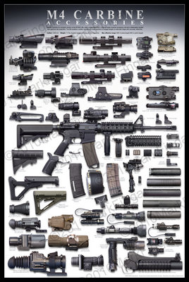 m4-sopmod-2010.jpg