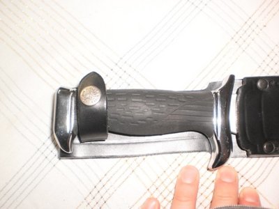 P2201583.jpg