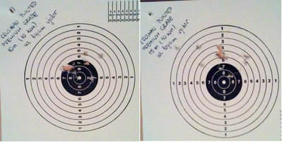 CROSMAN pointed premium grade (10 i 15 metara)