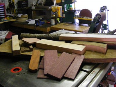 zagi1.jpg