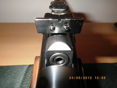 007.JPG