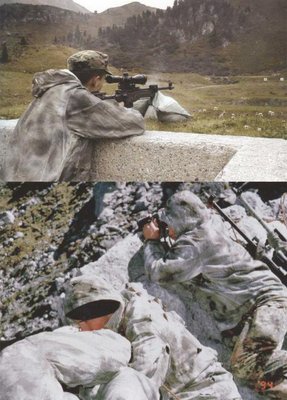 camomountain.jpg