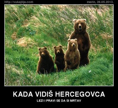 medo2.jpg