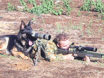 SHOOTER1.jpg