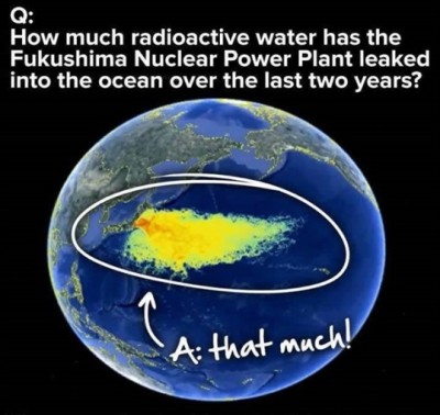 Fukushima Plant.jpg