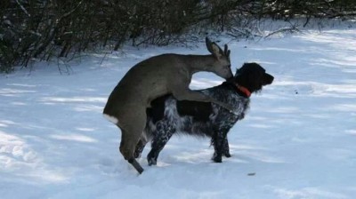 IMG_54007604383556.jpeg
