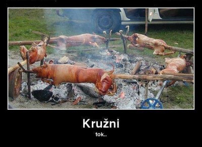 kružni tok.jpg