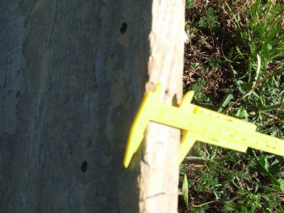 DSCF7534.JPG