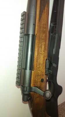 IMAG1490.jpg