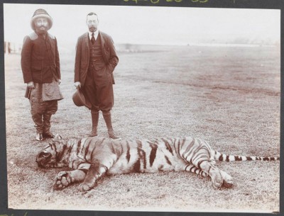 King George V.jpg