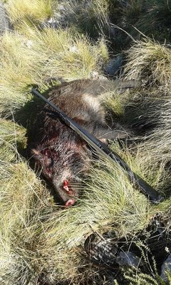 20161113_103456.jpg