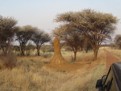 termiote mound.JPG