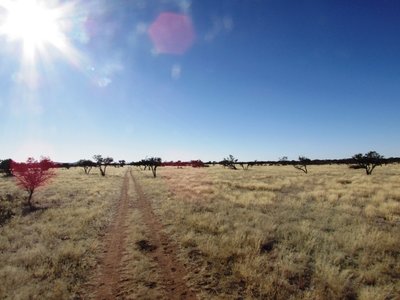 Kalahari 1.JPG