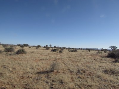 Kalahari 3.JPG