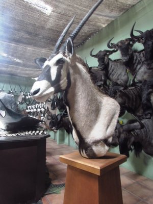 Oryx pedestal mount.JPG