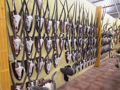 Oryx euro mount.JPG