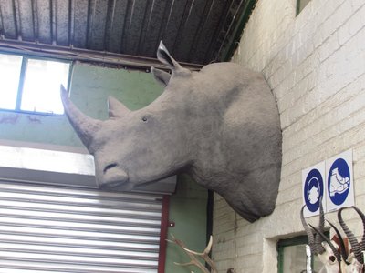 Rhino.JPG