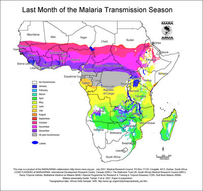 Africa First Month.jpg