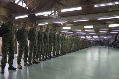 cro sniper 7340.jpg