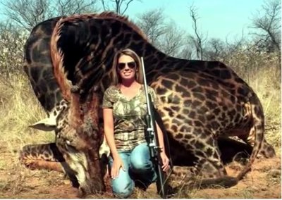 giraffe.jpg