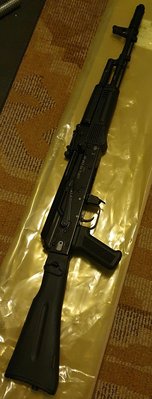Saiga 5.jpg