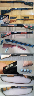 Shotgun Journey.jpg