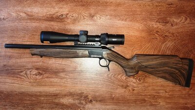 Bergara_30.jpg