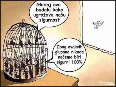 Budala leti.jpg
