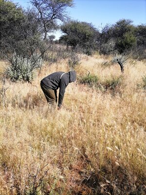 ON ELAND TRACKS.jpg