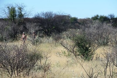 ELAND TRACKS.JPG