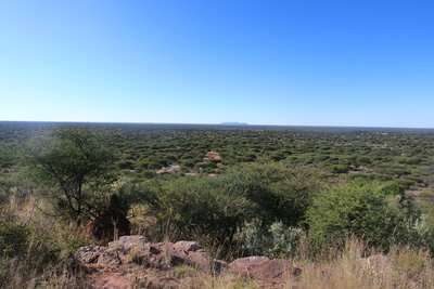 ELAND TRACKS 2.JPG