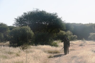 ON ELAND TRACKS 3.JPG