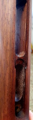 20230312_120001.jpg