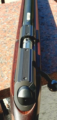 20230910_110742.jpg