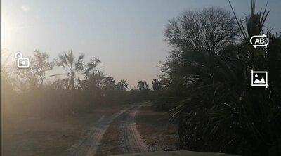 08 Elephant forest approach to camp.jpg