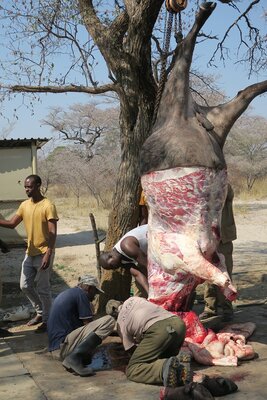 09 skinning.JPG