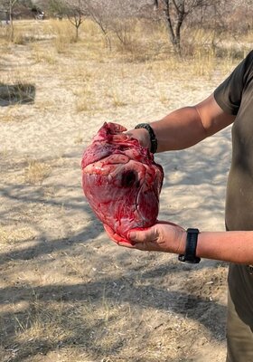 10 heart shot.jpg