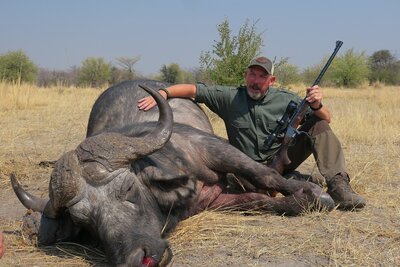 07 Buffalo.JPG