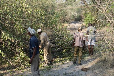 2 Cleaning forest road.JPG