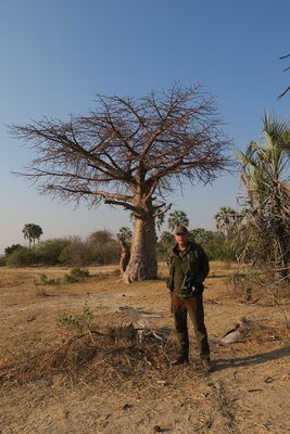 18 Baobab tree.JPG