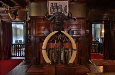 TDR trophy room.jpg