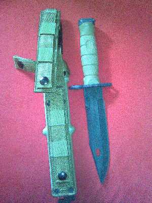 Slika010.jpg