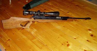 gun2.JPG