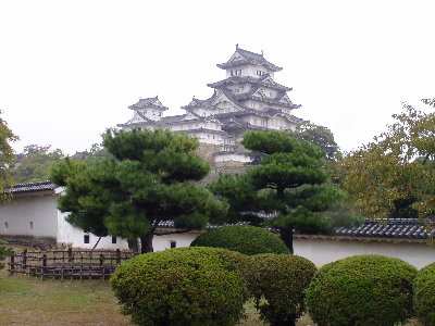 P1010155.JPG