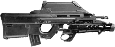 FN F2000D.gif