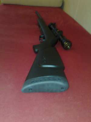 21012009258.jpg (32.54 KiB) Viewed 554 times Gamo Shadow Sport 4,5