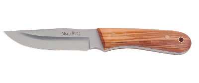 Muela 61694.jpg