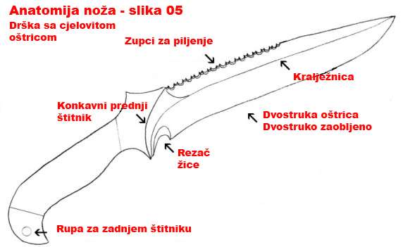 Anatomija nova 04.JPG